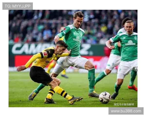 黄黑浪潮席卷德甲揭秘多特蒙德主场不败背后的五大关键因素