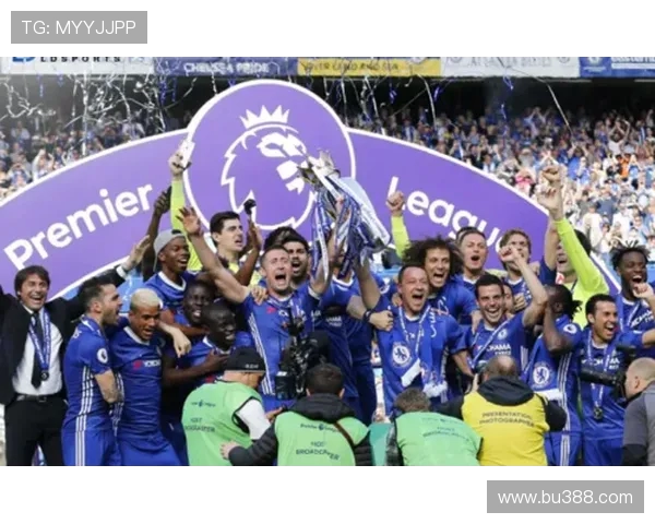 中国资本购买英超球队的案例与影响分析