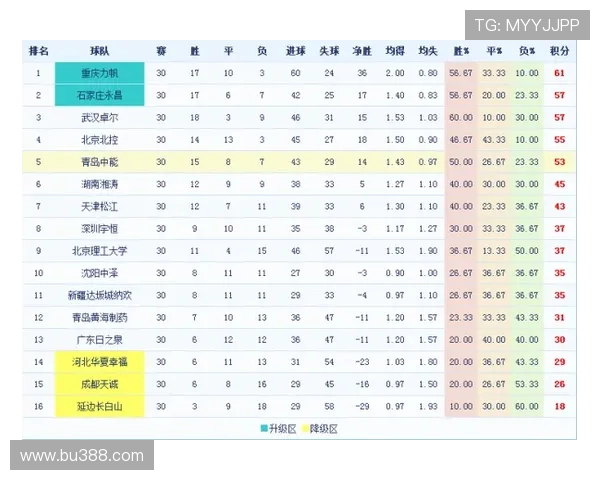 巴西甲级足球积分榜最新排名及球队动态